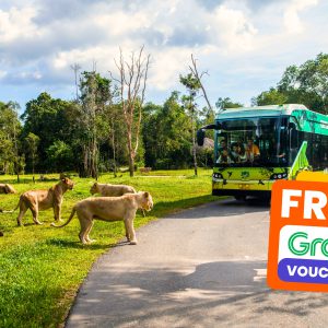 Vinpearl Safari Phu Quoc Ticket