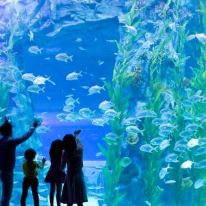Lotte World Aquarium Tickets