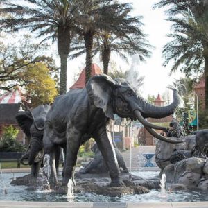 Audubon Zoo Ticket