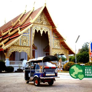 Chiang Mai Tuk Tuk Tour – Half Day
