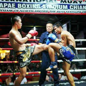Chiang Mai Thaphae Boxing Stadium Ticket