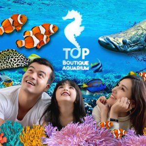 Boutique Aquarium Ticket at The TOP Penang