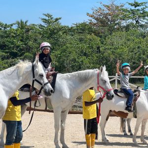 Countryside Stables Admission Ticket in Penang