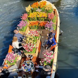 Amsterdam: Premium Tulip Boat Canal Tour