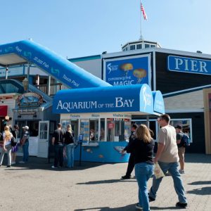 Aquarium of the Bay Ticket