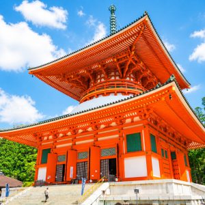 (Departing from Osaka) Koyasan & Wakayama/Nanki Shirahama Day Trip Tour | With Toretore Market Seafood Buffet