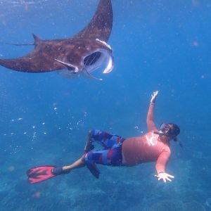 (Depart From Lembongan) 3 Spots Snorkeling Experience in Nusa Penida