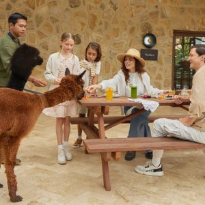 Bali Farm House Ticket