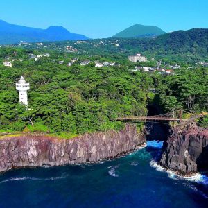 [Izu Ocean View Day Trip] Jogasaki Coast & Ocean View Train & Mt. Omuro/Izu Cactus Zoo｜Departure from Tokyo