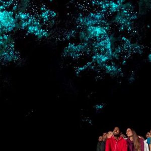 Auckland Hobbiton & Waitomo Caves Full-Day Tour
