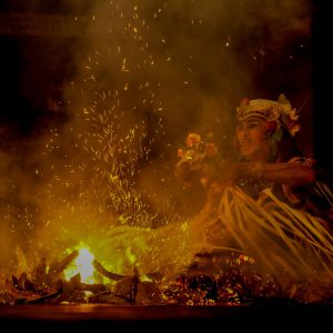 Bali Monkey Forest, Art Village, & Traditional Market Private Day Tour with Kecak Fire Dance Show