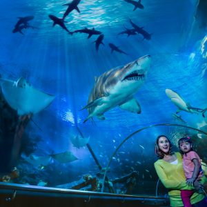 Aquaria KLCC Ticket