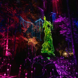 Dream Forest Langkawi Ticket