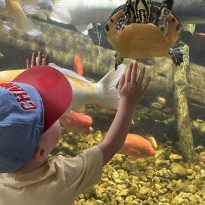 Houston Interactive Aquarium & Animal Preserve Ticket
