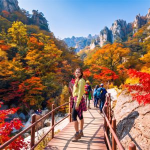 Nami Island & Mt.Seorak & Alpaca Seasonal Tour